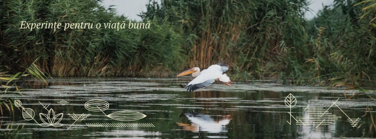 Pensiunea Nest Dunavăţu de Jos المظهر الخارجي الصورة