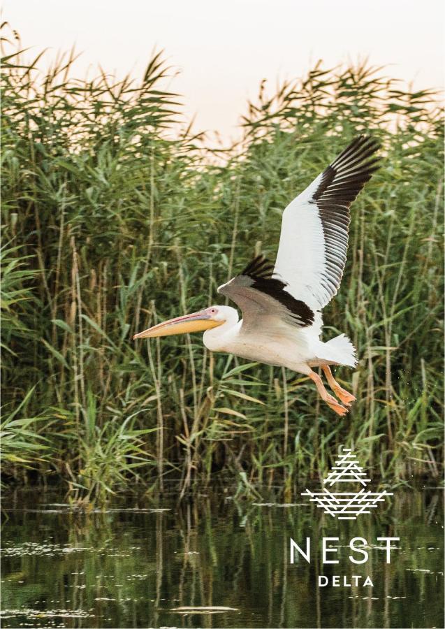 Pensiunea Nest Dunavăţu de Jos المظهر الخارجي الصورة