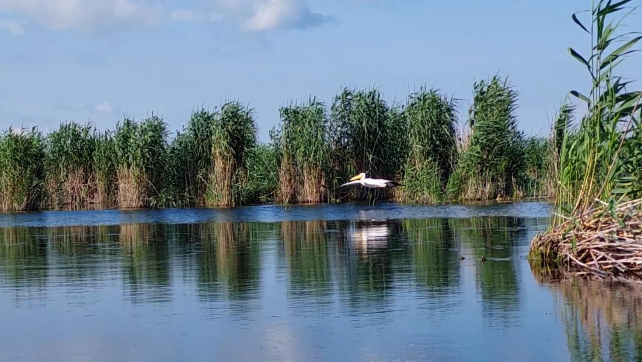 Pensiunea Nest Dunavăţu de Jos المظهر الخارجي الصورة